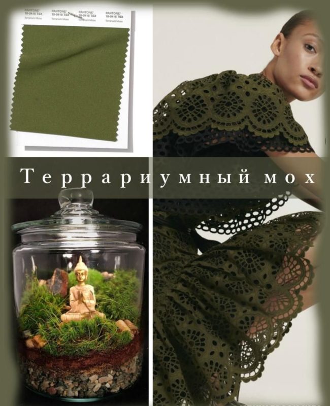 Trendy Color Terrarium Moss