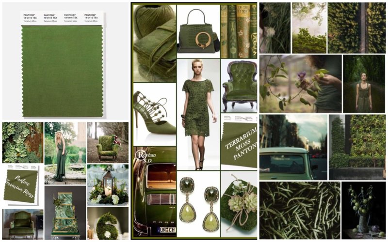 Îmbrăcăminte și lucruri de culoare Moss Terrarium
