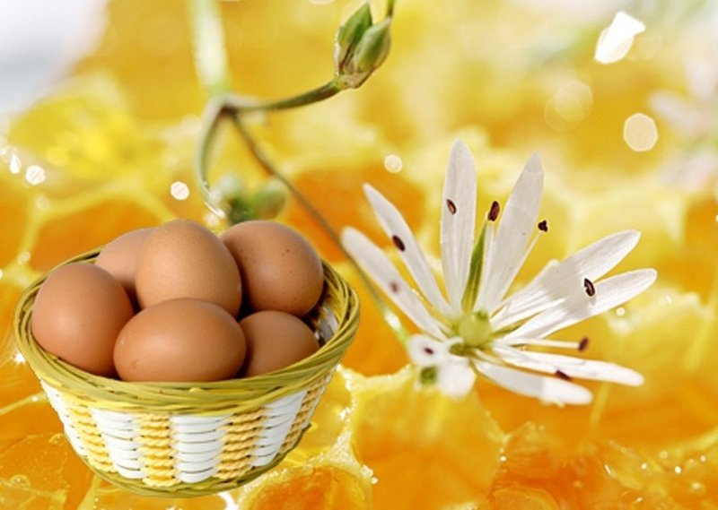 Egg og honning