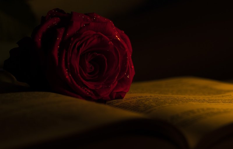 Rožė ant ezoterinių svajonių knygų