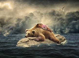 Drøm om bjørner