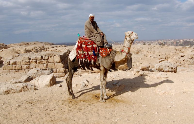 Een man in een droom over een kameel