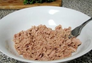 Salade met ingeblikte tonijn en groenten