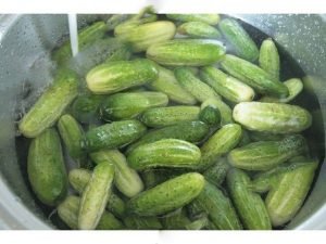 Ingelegde komkommers voor de winter