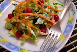 Salade van jonge kool, wortelen en viburnum