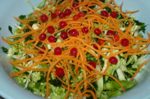 Salat fra ungkål, gulrøtter og viburnum