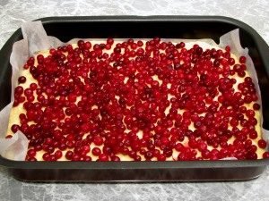 Citroen Cranberry Tart