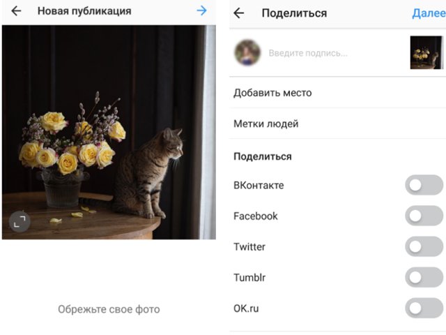 Bästa sätten att publicera foton och videor på och från Instagram