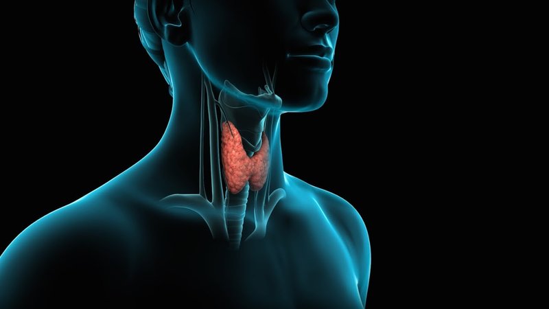 parler thyroïde