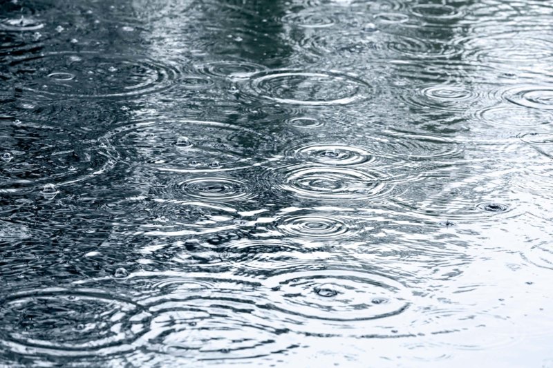 konsekwencje spisku deszczowego