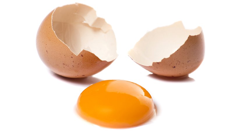 Interpretatie van de resultaten van de rite om eierbeschadiging kwijt te raken