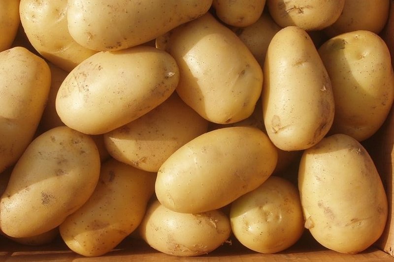 aardappel