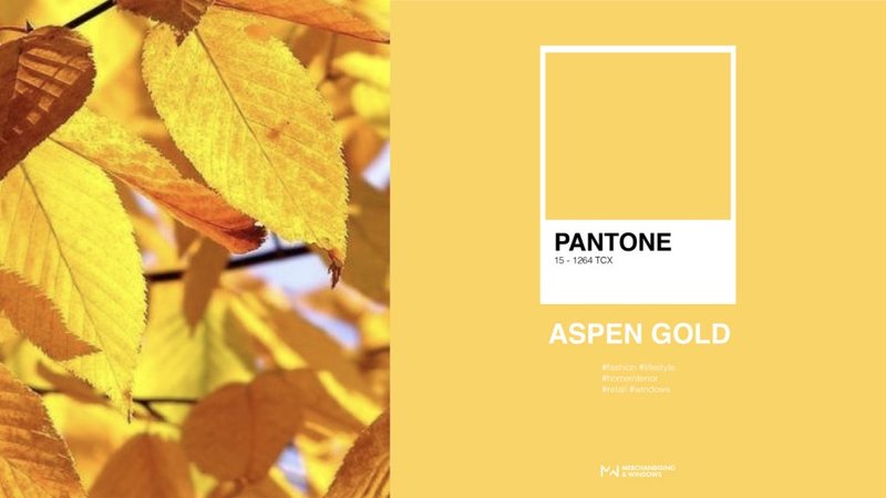 Цвят Aspen Gold