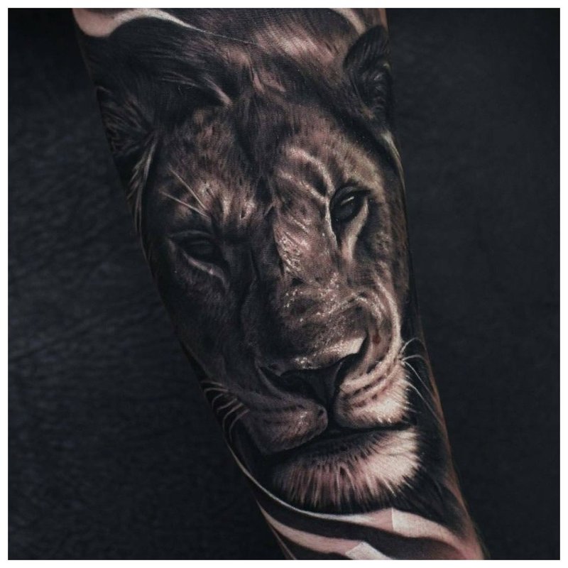 Tatuaj animal pe brațul unui bărbat