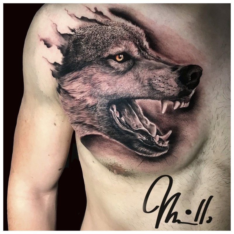 Grijns van een wolf - tatoeage op de borst van een man