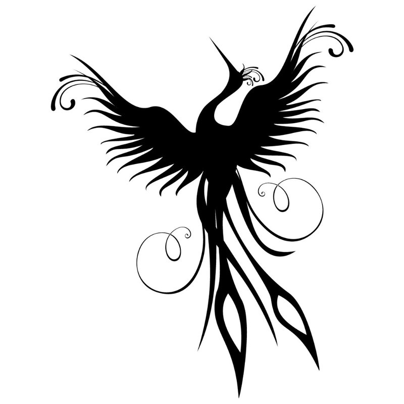 Phoenix tetoválás vázlat
