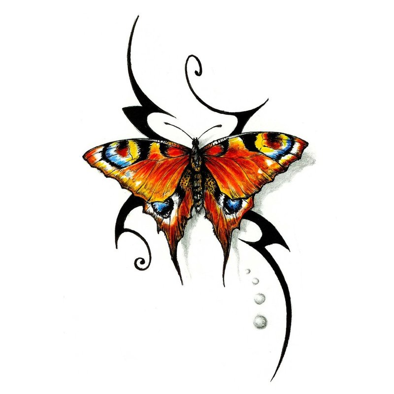Kleurenschets Heldere vlinder