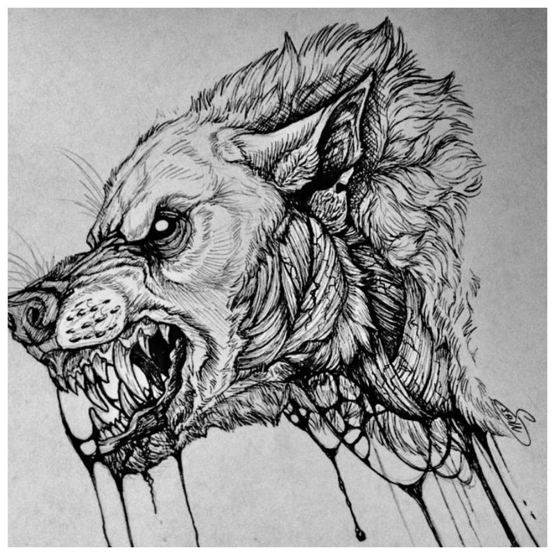 Ulvens munn - skisse for tatovering