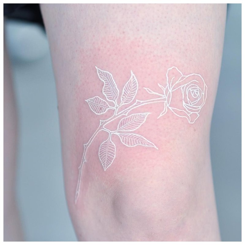Baltos rožės tatuiruotė