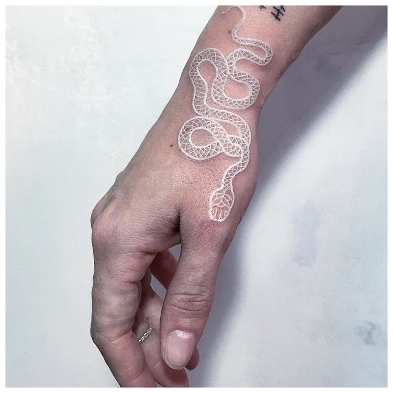 Balta gyvatė ant rankos