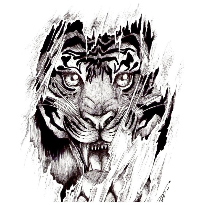 Skica pro tetování tygra