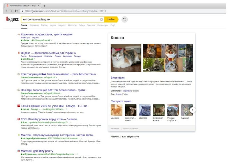 Yandex vyhledávání