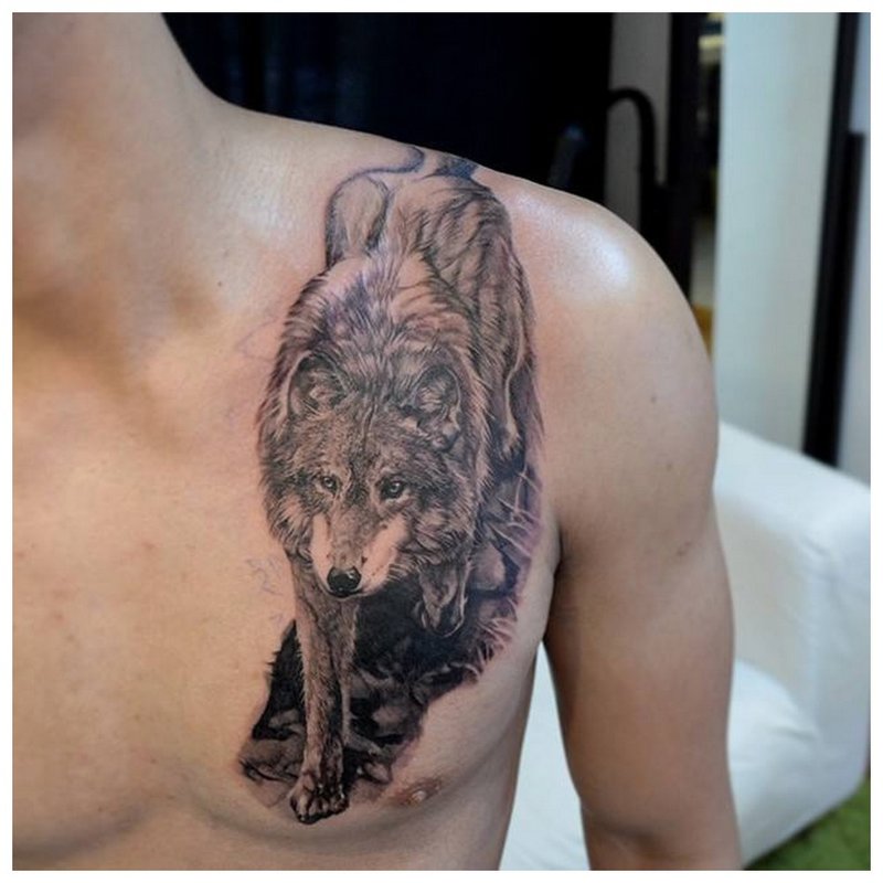 Plíživý vlk tetovanie