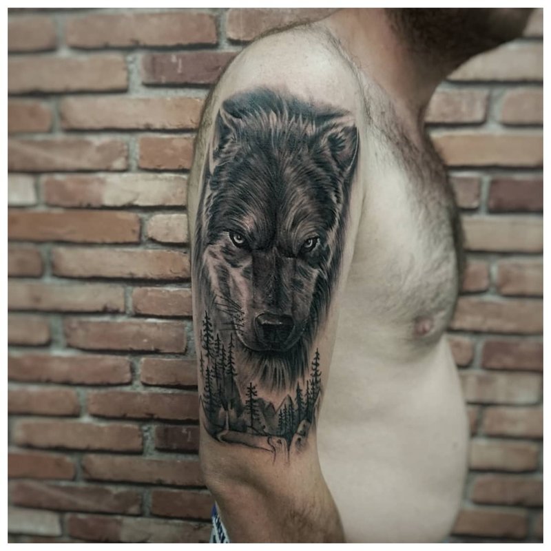 Wolf op de schouder van een man - echte tatoeage