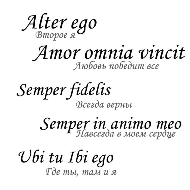 Szkice tatuażu w języku łacińskim