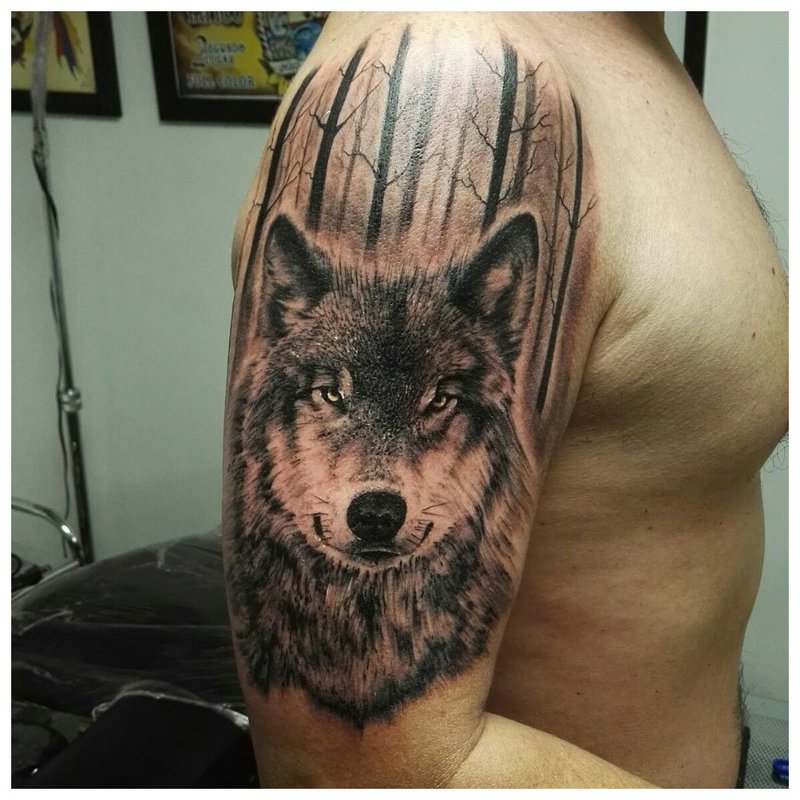 Vilko akis - tatuiruotė