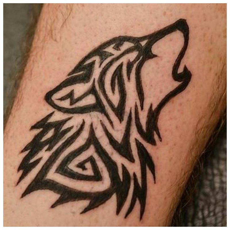Teen Wolf huilt naar de maan - schets voor tattoo