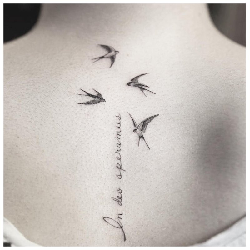 Tattoo inscriptie met vogels
