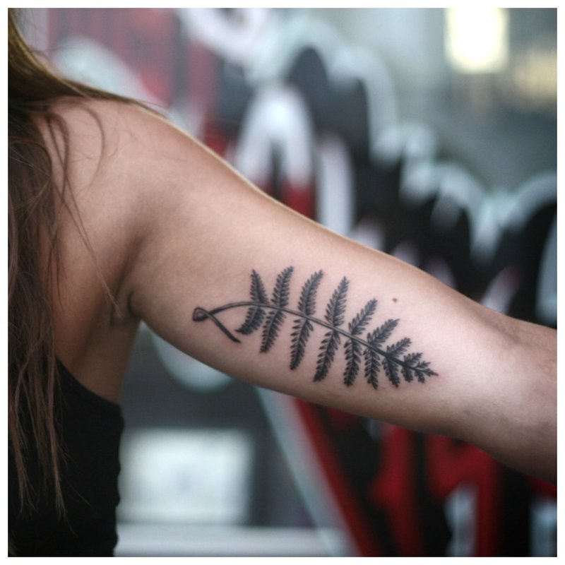 Gałązka - tatuaż na ramieniu dziewczyny