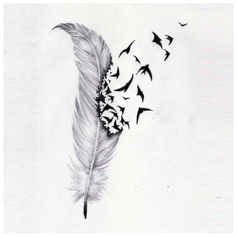 Perie - krásna skica na tetovanie