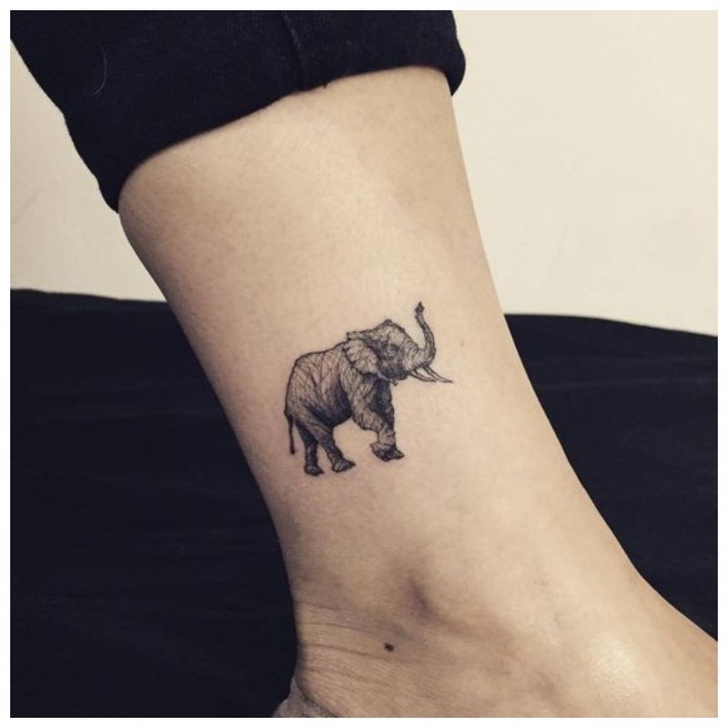 Słoń - tatuaż na ramieniu