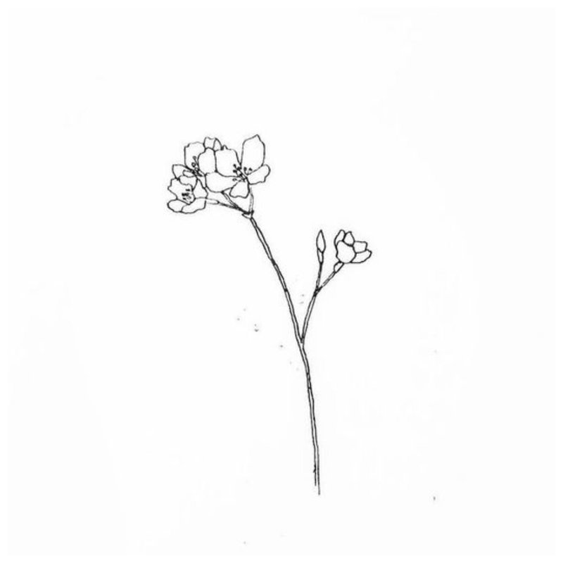 Kvetina - skica na tetovanie