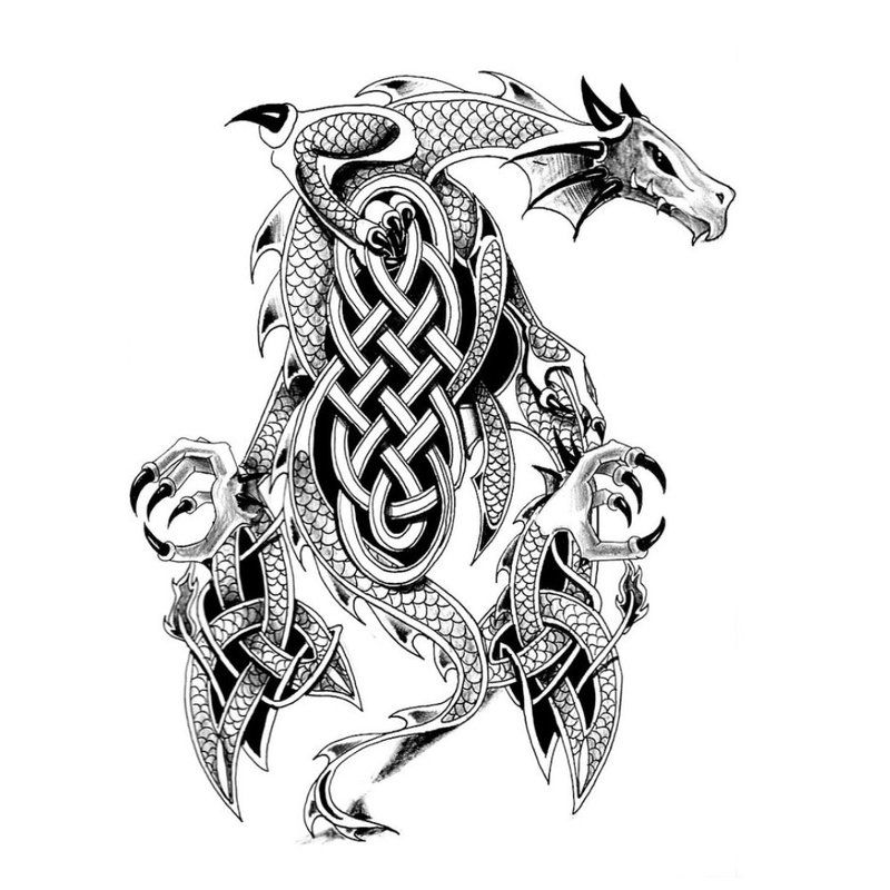 Croquis de tatouage - dragon noir et blanc