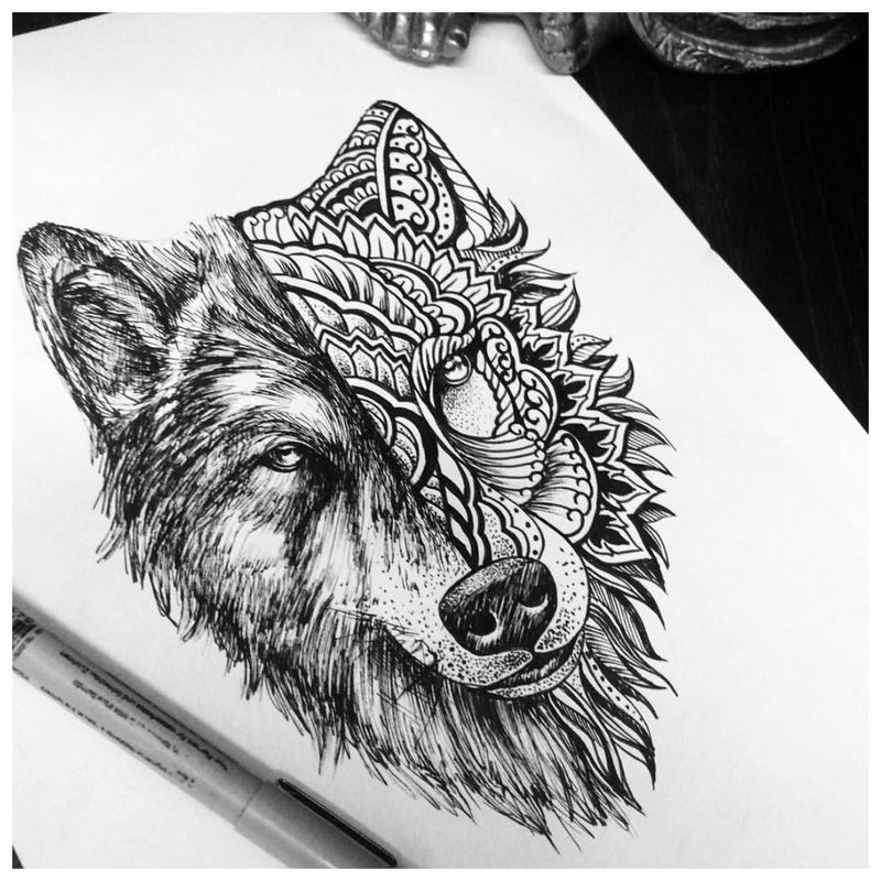 Schets van een wolf in verschillende stijlen