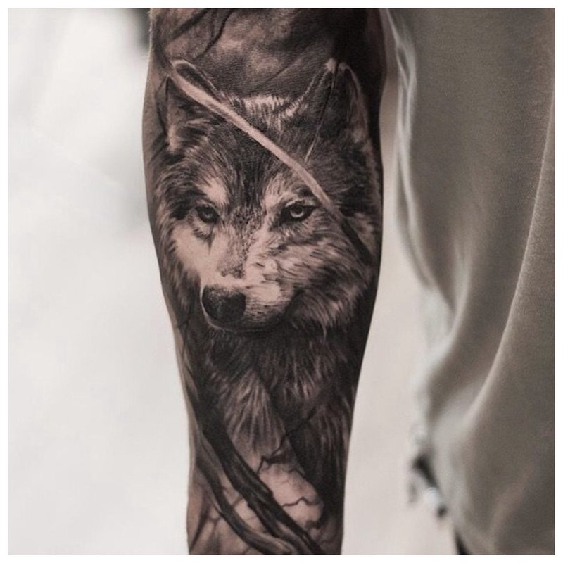 Severe Wolf - tatuaż na pełnym ramieniu