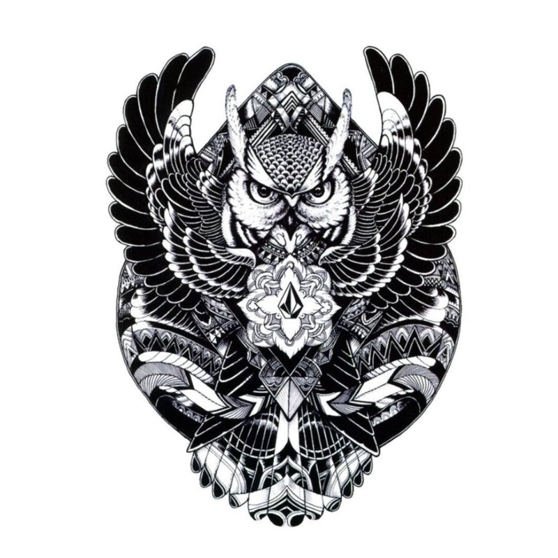 Tattoo sketch - blackwork owl