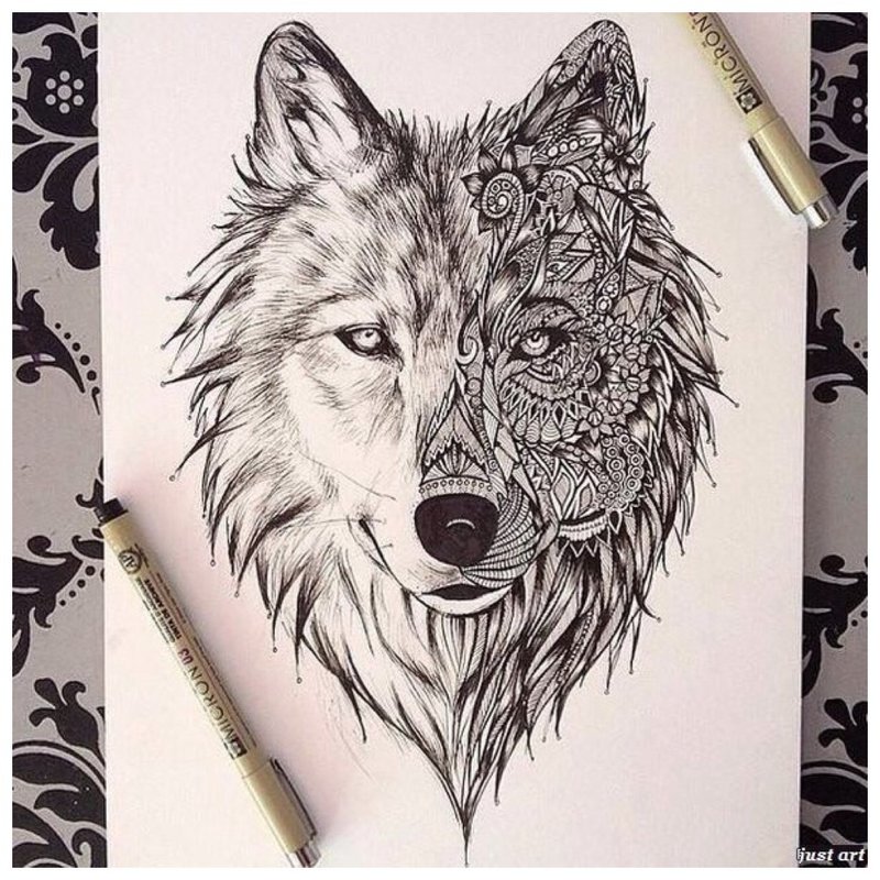Ulve ansikt - skisse for tatovering