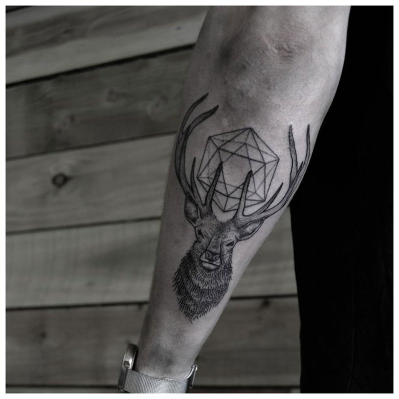 Gyvūno tatuiruotė ant vyro rankos