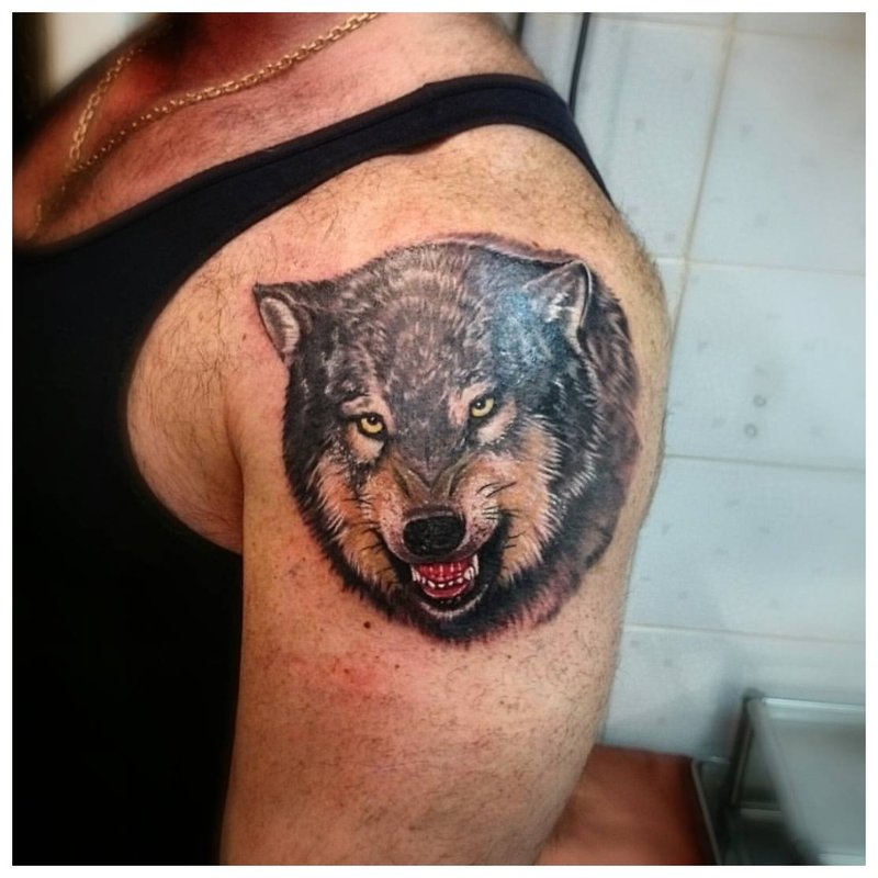 Úsmev vlka - tetovanie na mužskom ramene