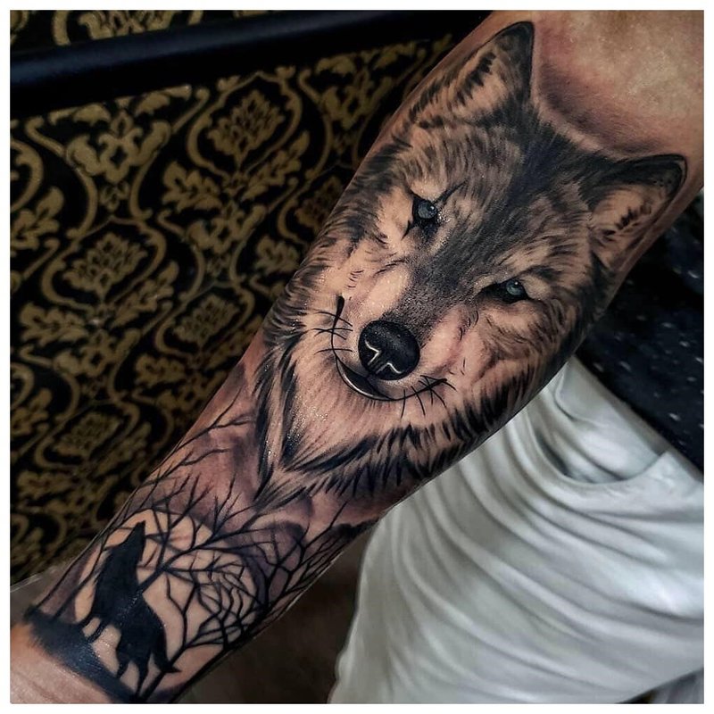 Vilko tatuiruotė ant vyro rankos