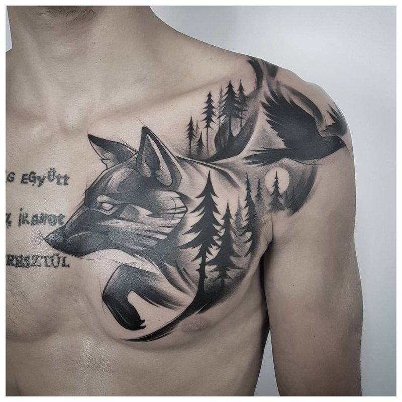 Wilk w lesie - tatuaż na piersi mężczyzny