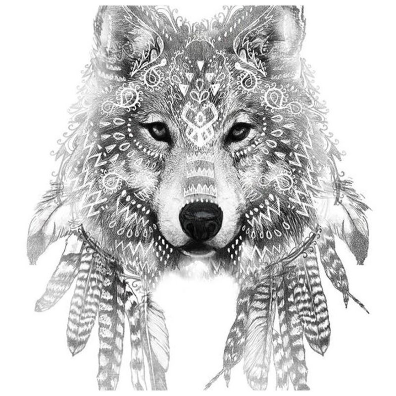 Piękny mądry wilk