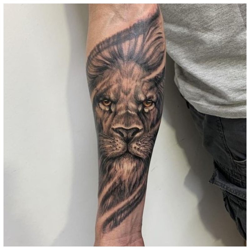 Liūtas - tatuiruotė ant vyro rankos