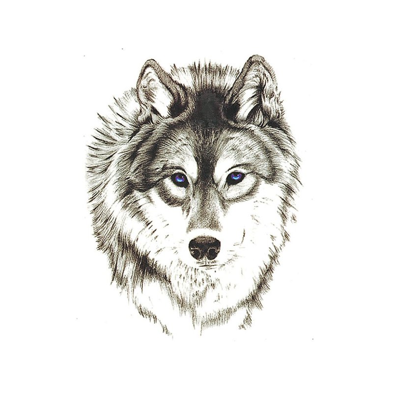 Скица на вълк за татуировка