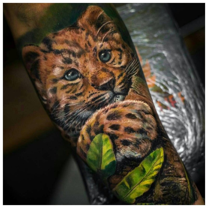 Realisme Cheetah