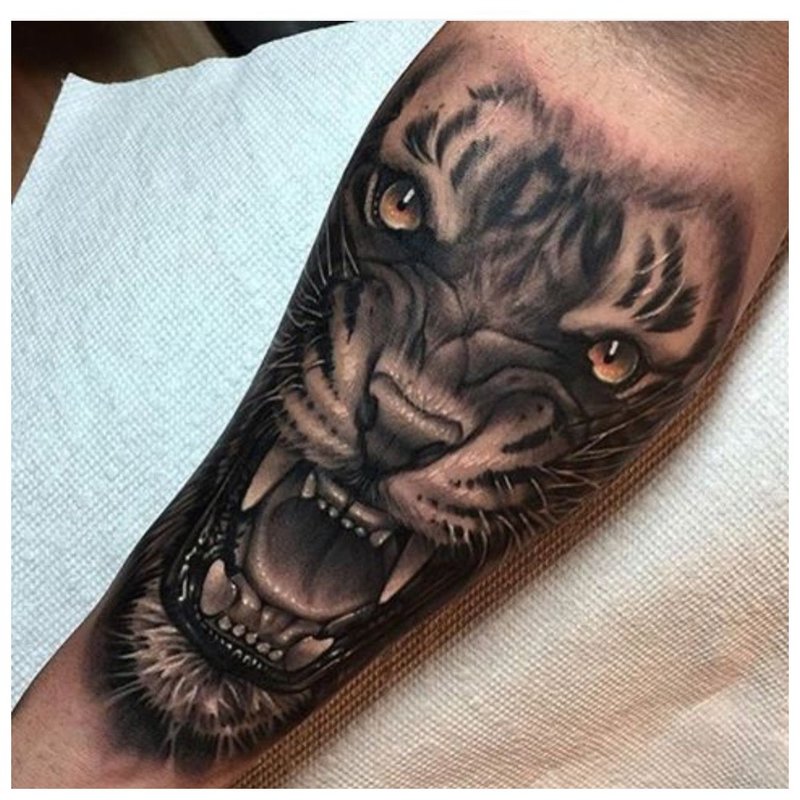 Gyvūno tatuiruotė ant vyro dilbio